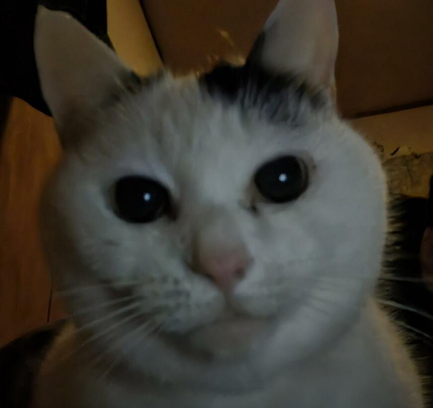 出所：@sironezumi77