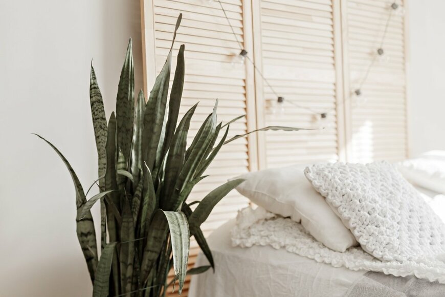 olyagimaeva/shutterstock.com