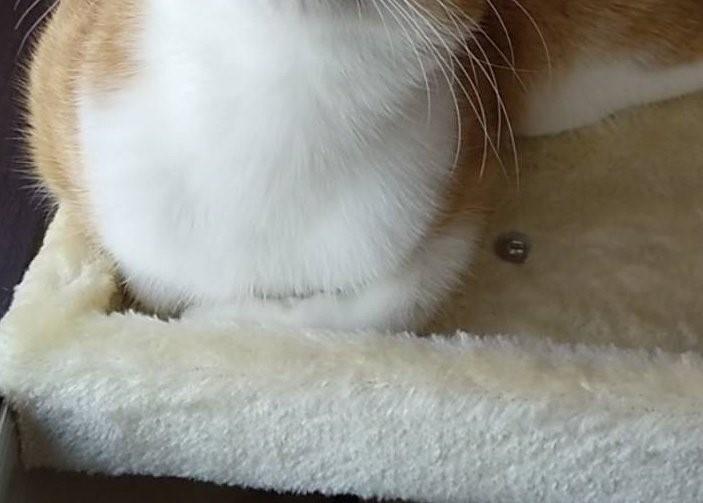 出所：@mero627puri914