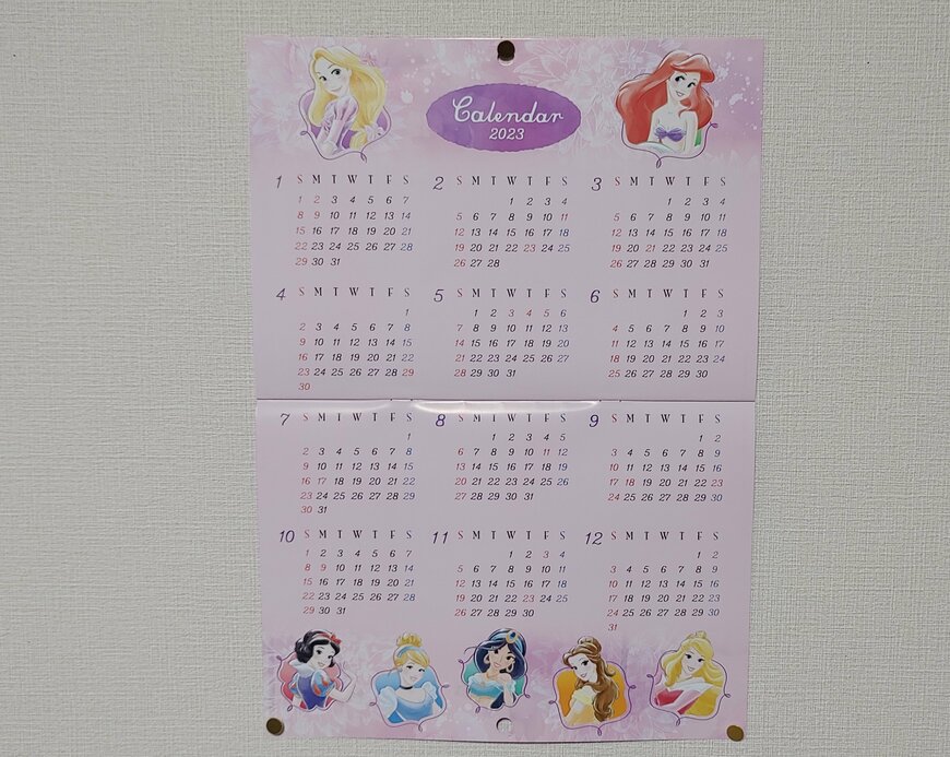 筆者撮影（ダイソー、壁掛けカレンダー（ディズニープリンセス）