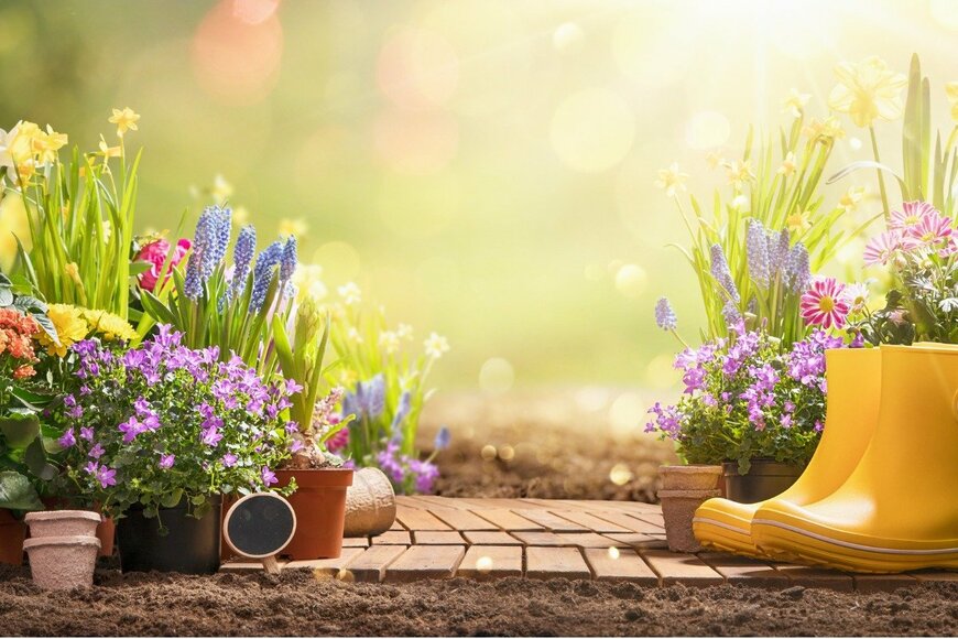 Baks/istockphoto.com