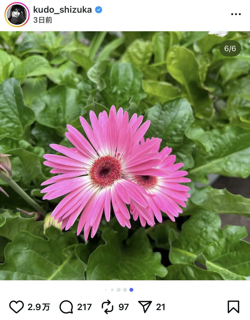 出所：工藤静香のInstagram（＠kudo_shizuka）参照日：2025年9月16日