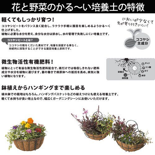 画像出所：DCM公式