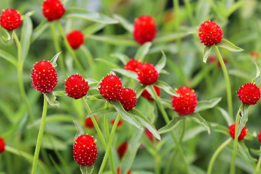 meunierd/shutterstock.com