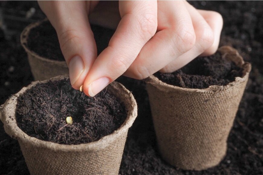 Stanislav71/shutterstock.com