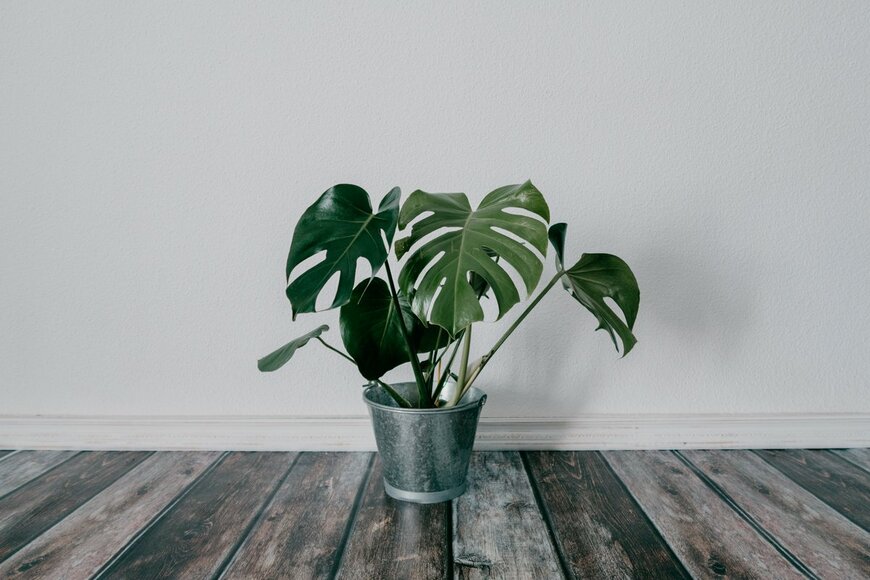 Light and Vision/Shuterstock.com