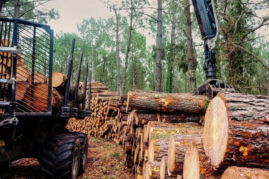 DEBOVE SOPHIE/istockphoto.com