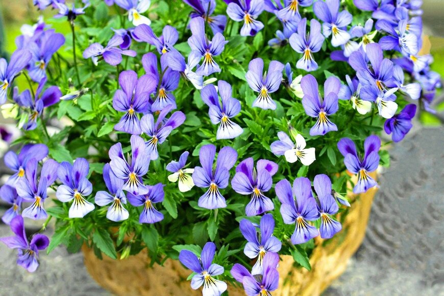 syan/istockphoto.com