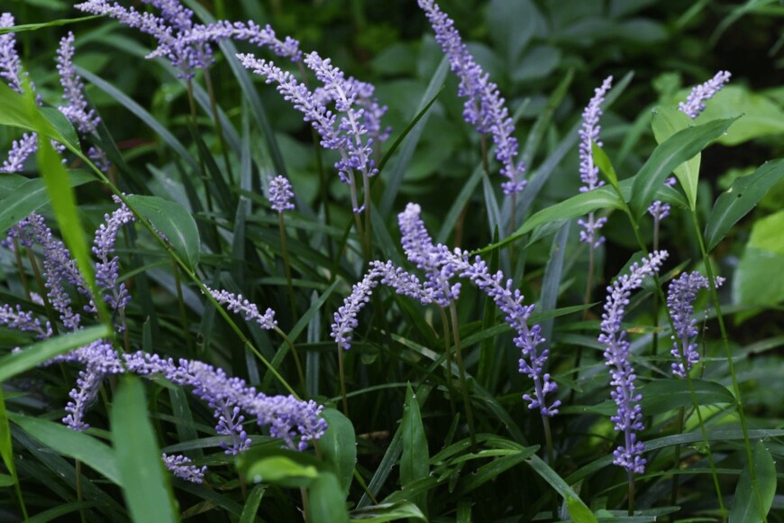 undefined undefined/istockphoto.com