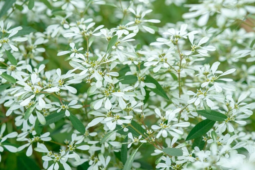 APugach/Shutterstock.com