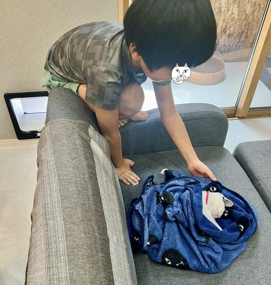 出所：@omochi_nam01