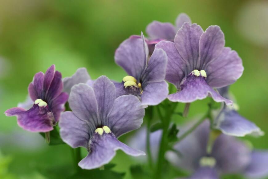 Derrick Li/shutterstock.com