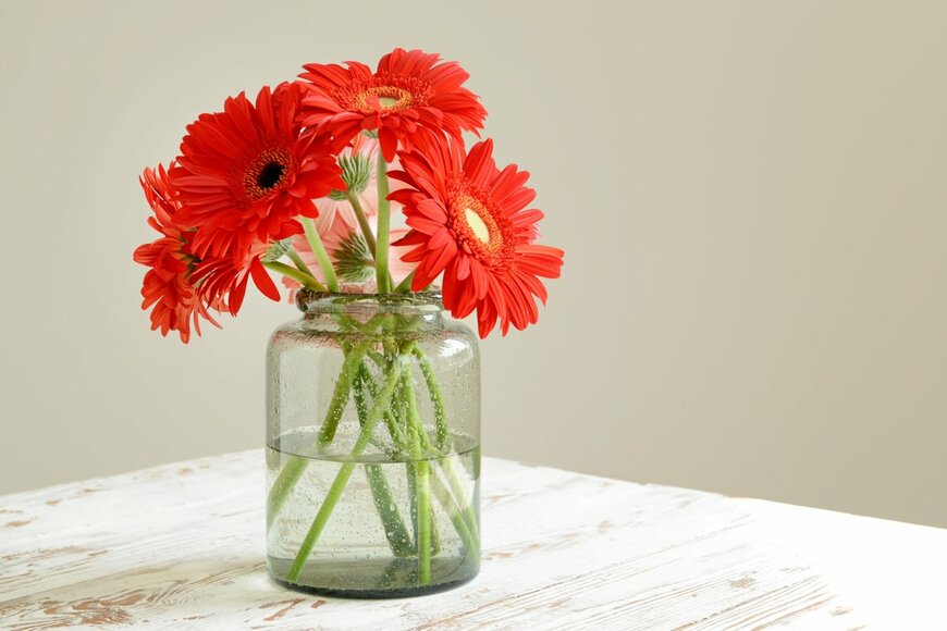 Pixel-Shot/Shutterstock.com