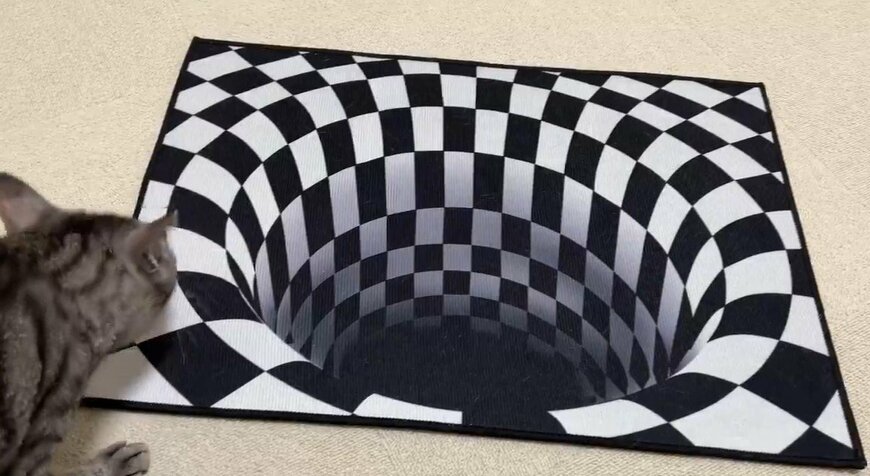 トリックアートと猫