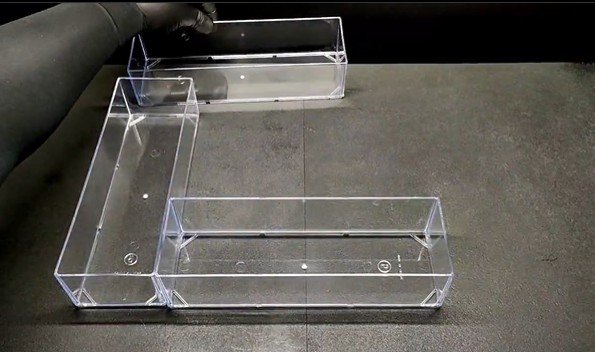 投稿の画像