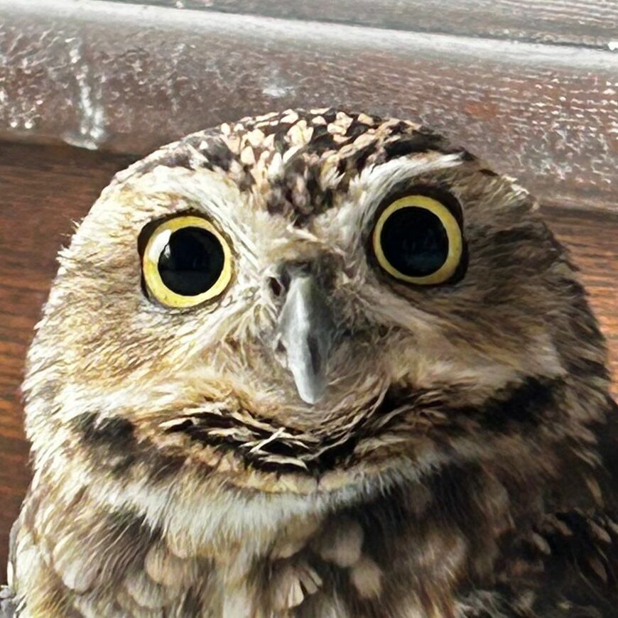 投稿動画のワンシーン