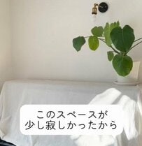 【100均DIY】「100均とは思えないクオリティ」ダイソーの鏡とプラダンを使って部屋が広く見える室内窓が完成！
