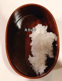 シングルファザーが作る「週明けの鮭弁当」前日の一工夫に称賛の声