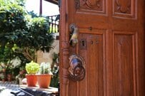 【ガーデニング】玄関に飾りたいスタイリッシュな植物8選。観葉植物・一年草・花が咲く木など