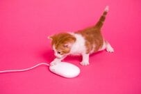 目指せ「お金に困らない人」老後対策の節約術はコレだ