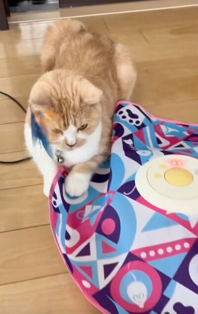 動くおもちゃとそらくん