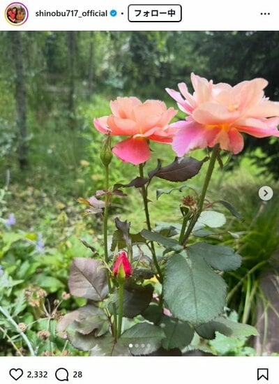 大竹しのぶのInstagram投稿