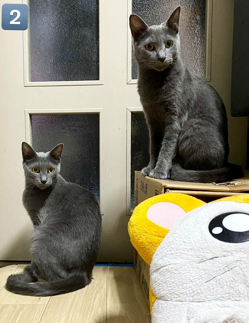 出所：@luna7taka9