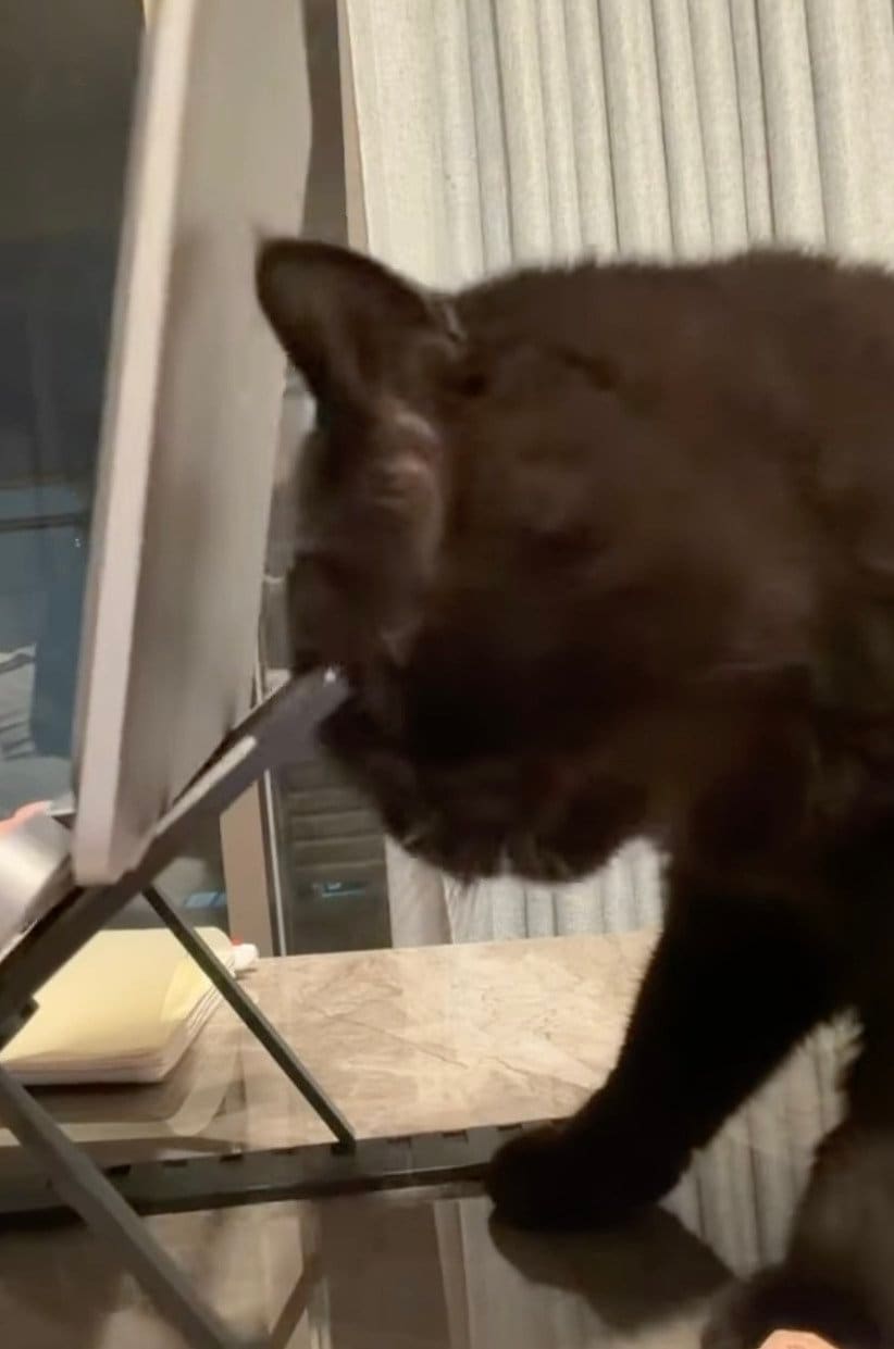 出所：@kotetsu_0420