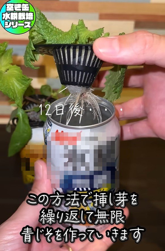 出所：@mikanbo-ya1987