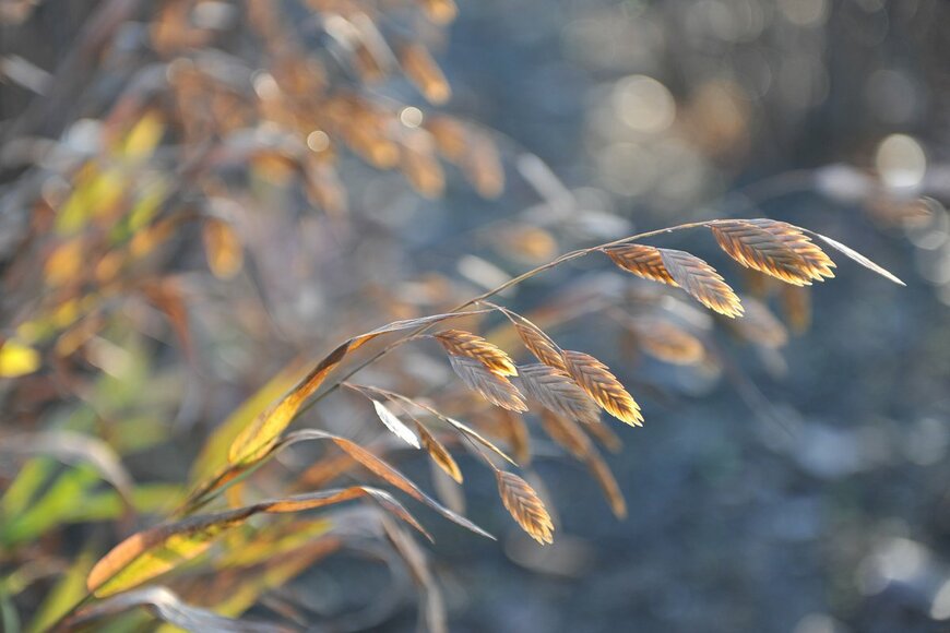 Sergey V Kalyakin/shutterstock.com