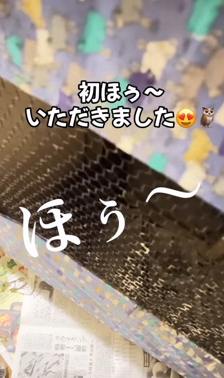 出所：@ba_chantolatte