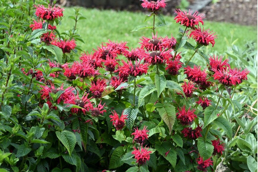 emer1940/istockphoto.com