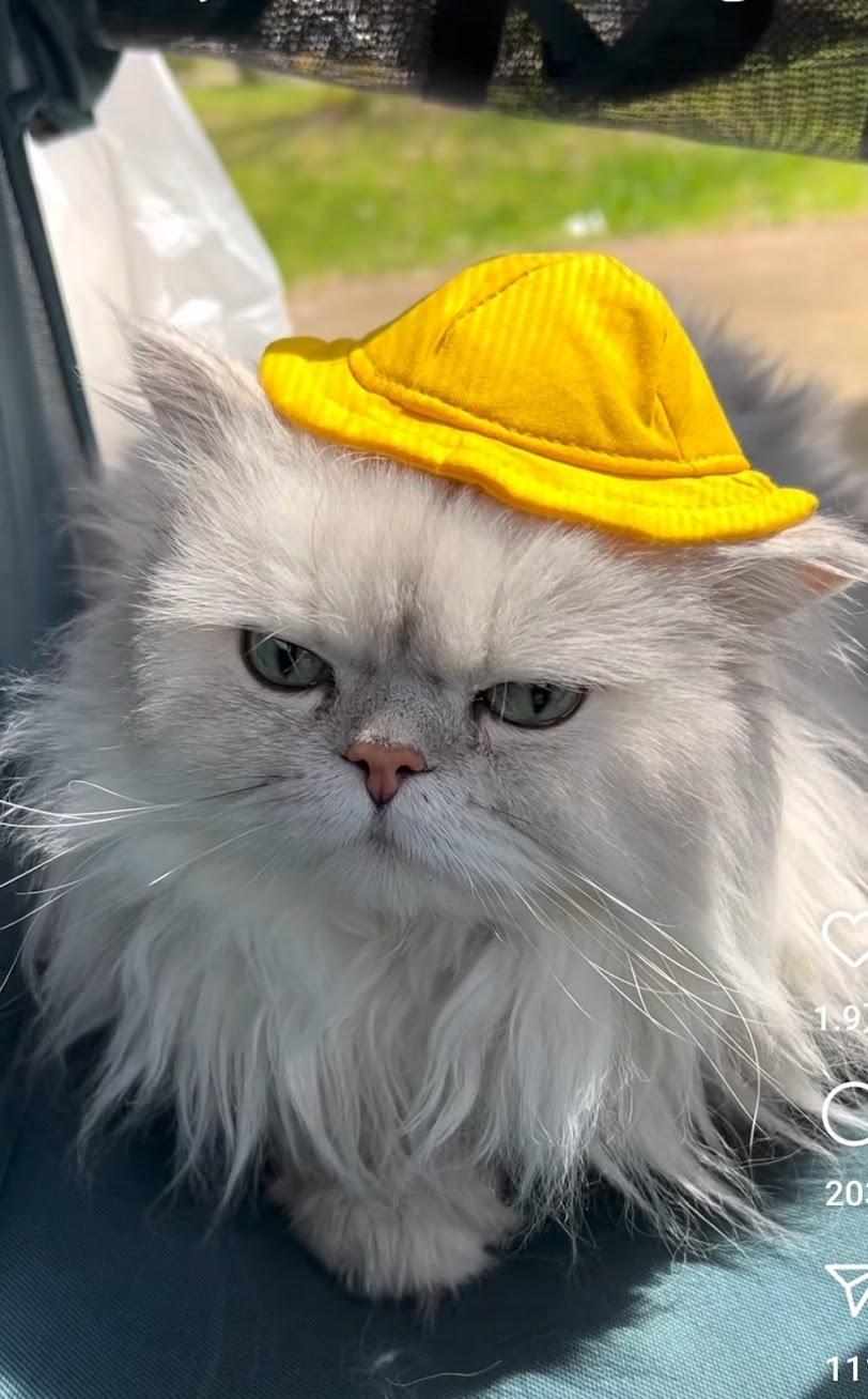 出所：@cr8673.hiro