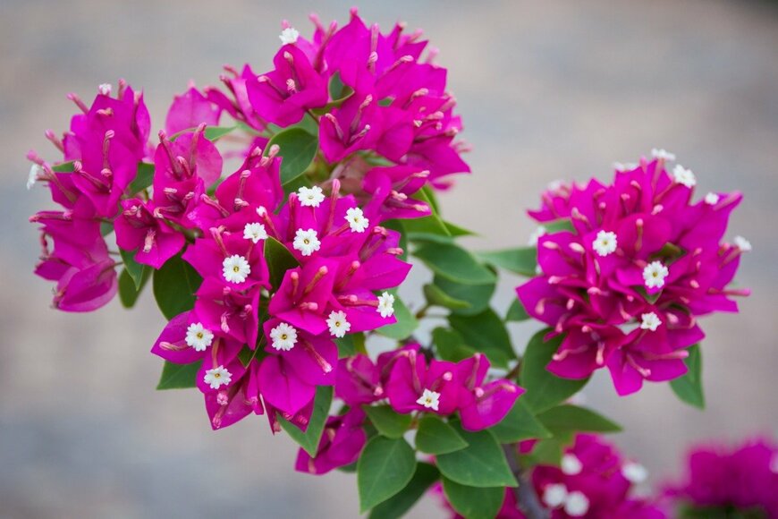 golfcphoto/istockphoto.com