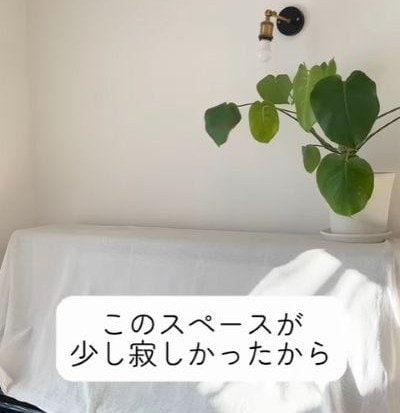【100均DIY】「100均とは思えないクオリティ」ダイソーの鏡とプラダンを使って部屋が広く見える室内窓が完成！