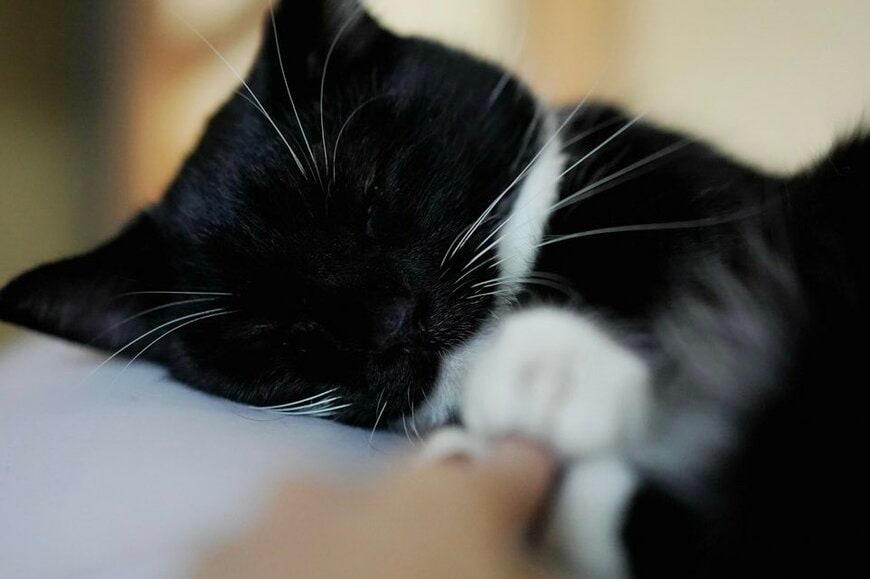 出所：@unicouniuni3