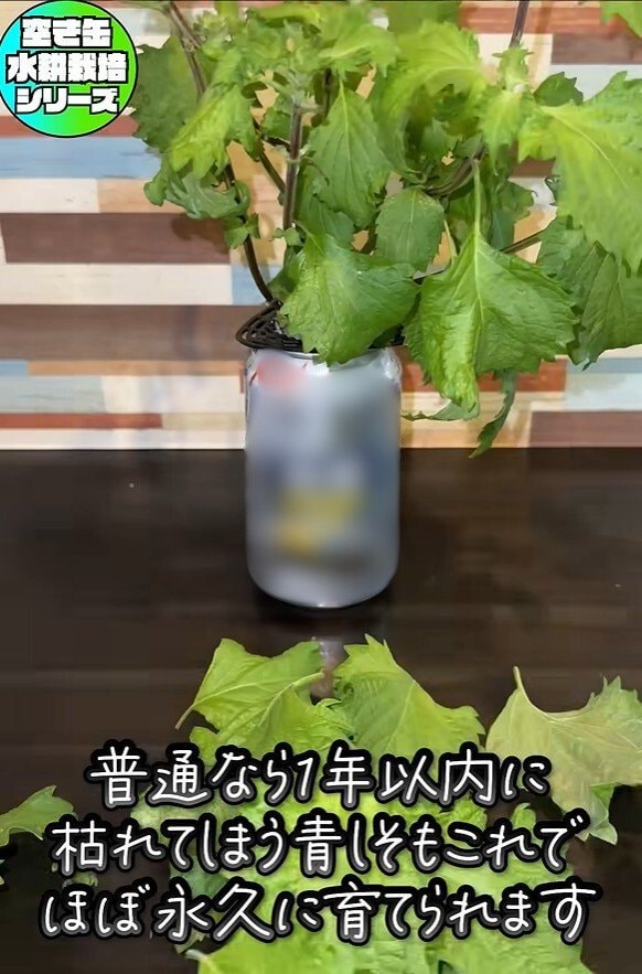 出所：@mikanbo-ya1987