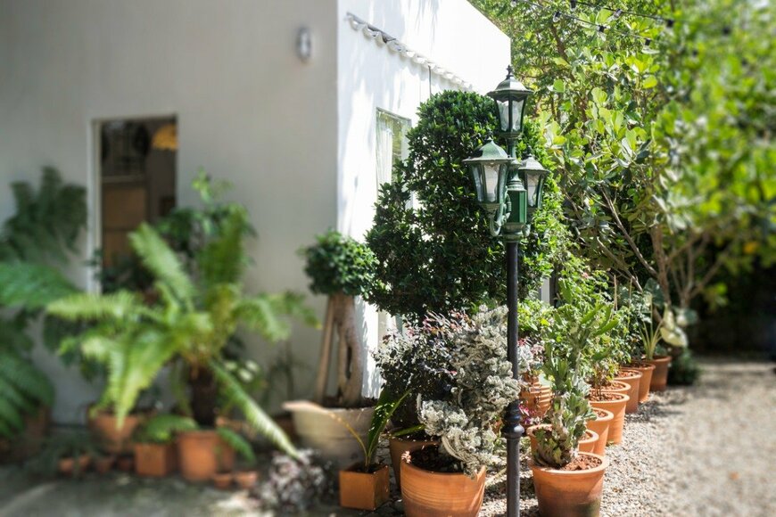 nalinratphi/istockphoto.com