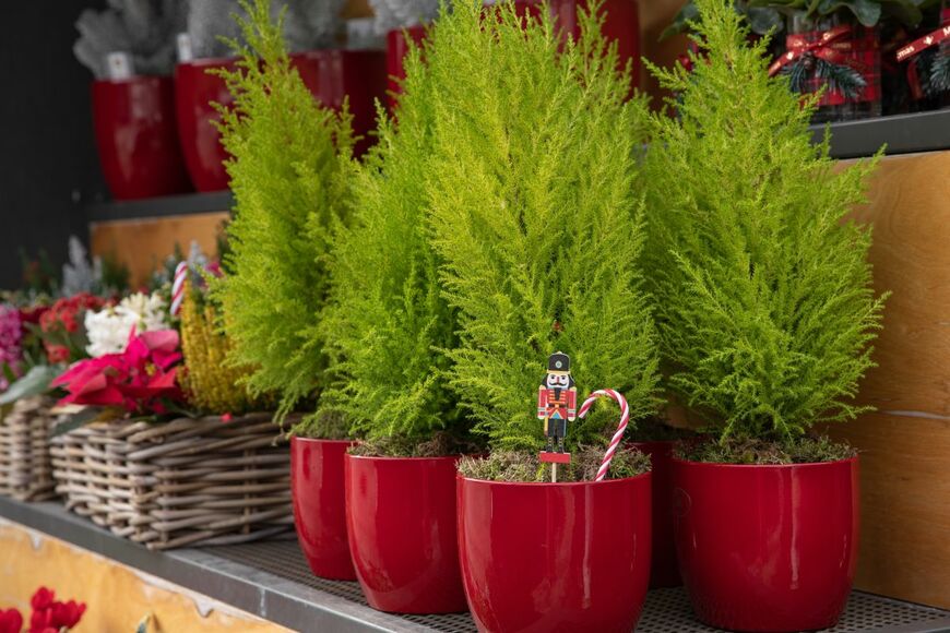 Victoria Kurylo/shutterstock.com