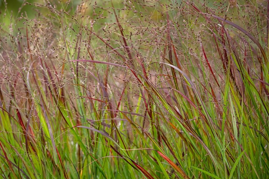 Chris Lawrence Travel/shutterstock.com