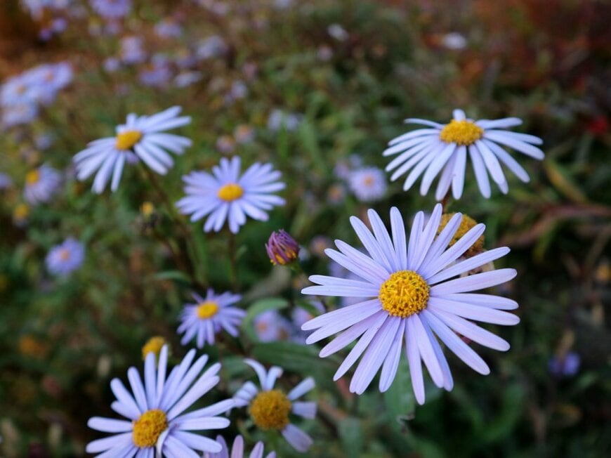 VNOB/shutterstock.com