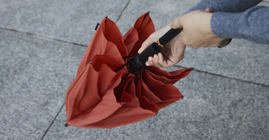 出所：株式会社マーナ　Shupatto アンブレラ Plus