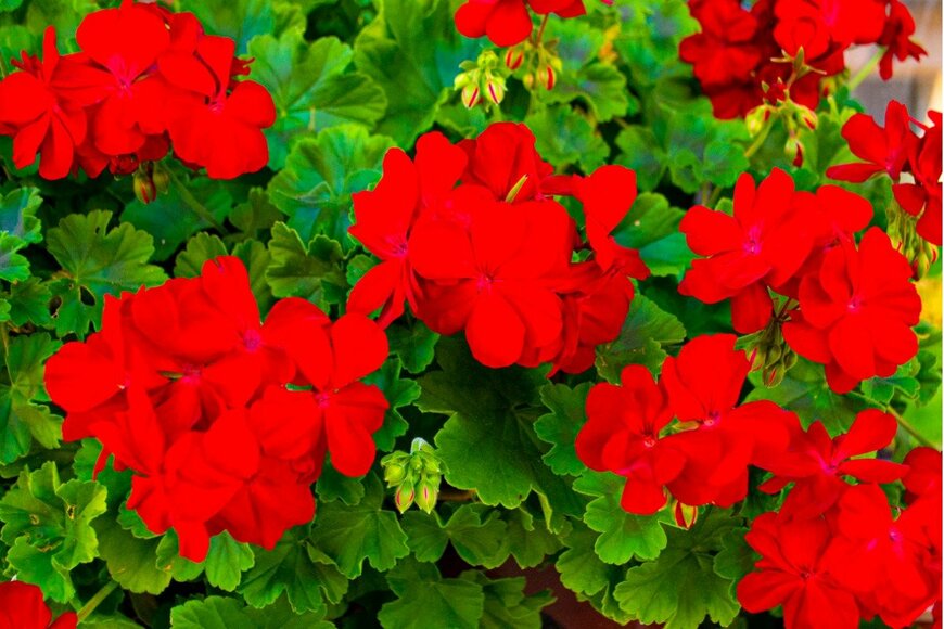 Topaz777/istockphoto.com