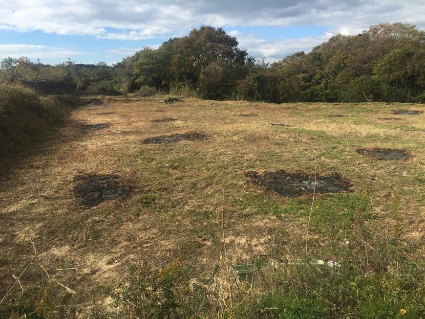 開墾した土地の一部（資料提供：ブルーベリーヒル淡路）