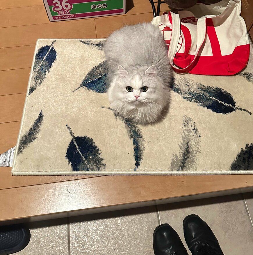 出所：@NEKOLAND13