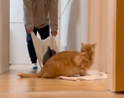 出所：@Teagle_Noir