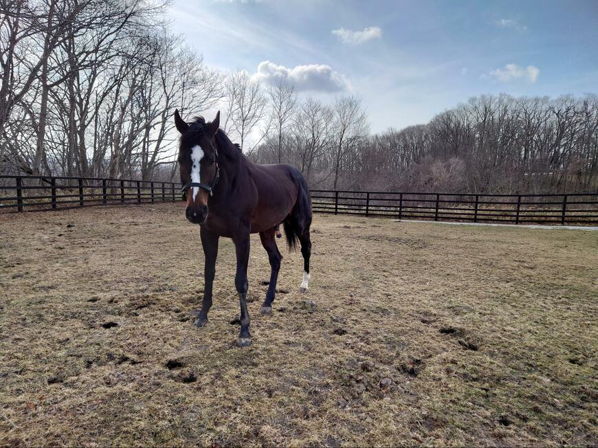 出所：Yogiboヴェルサイユリゾートファーム