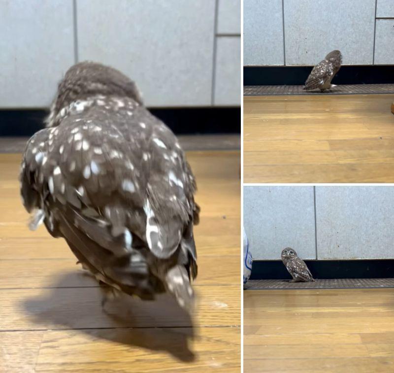 出所：@cr8673.hiro