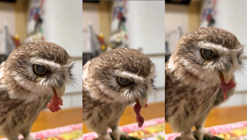 出所：@cr8673.hiro