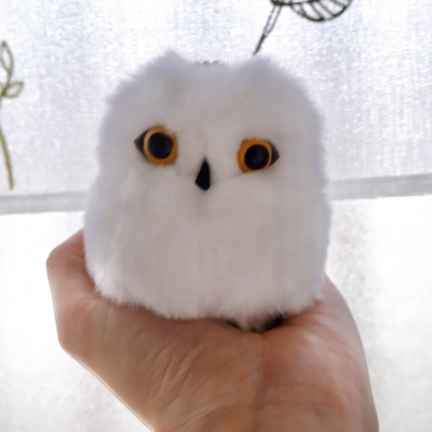 出所：@snowyOwl_nive